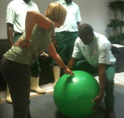 Photo d'un atelier sur les bons gestes et postures