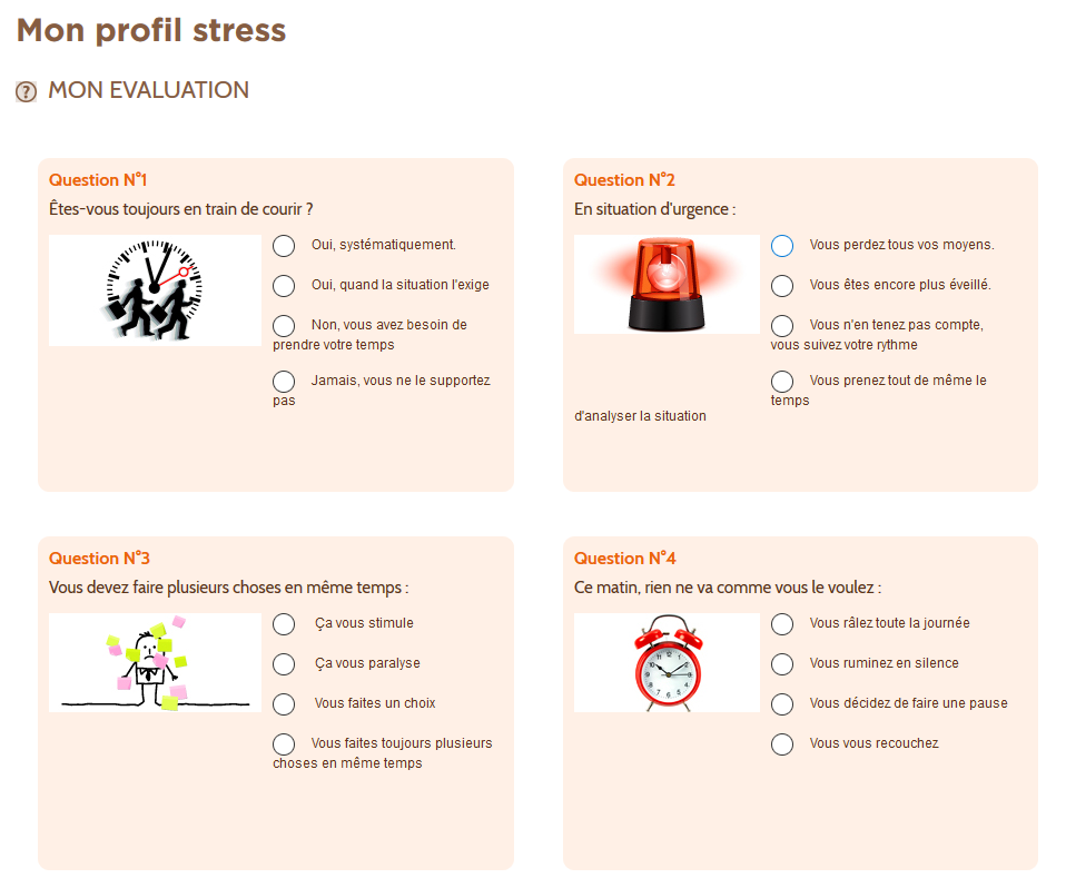 Extrait du questionnaire Mon Profil Stress de Mon Capital Santé